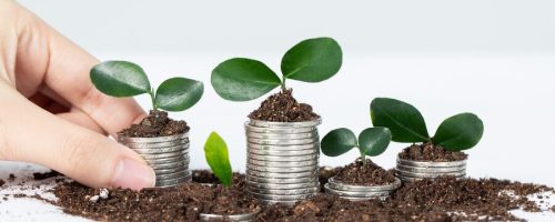 mutual funds v